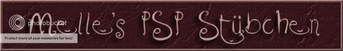 Banner 1