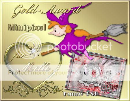 Bienes Contest - 3