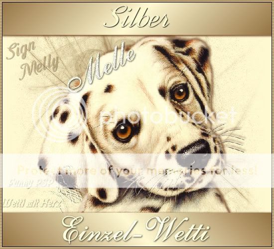Silber Einzel funny psp
