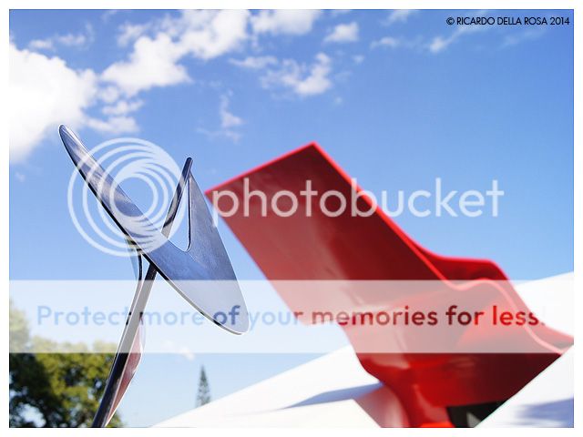 photo ASP009_zps776b5b78.jpg