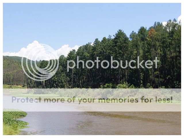photo VL_QUEIM002_zps4fbd26be.jpg