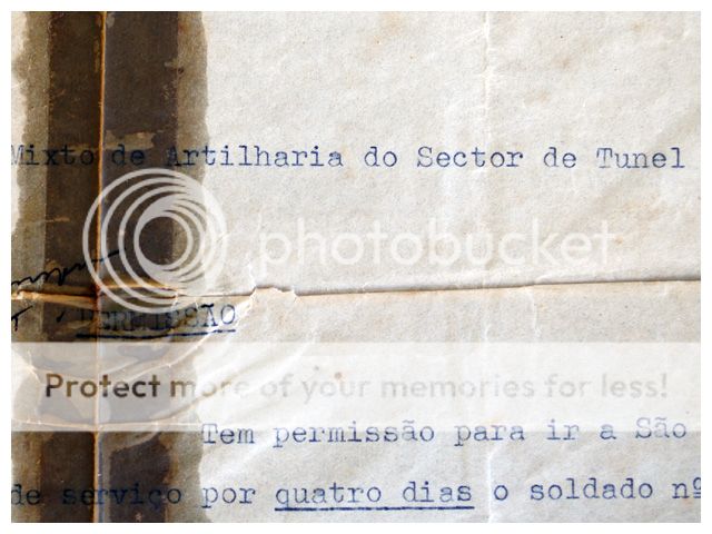 photo 002_zpsorlwamn9.jpg