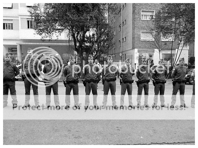 photo sol01a_zpsc9be950e.jpg