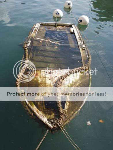 Kad laÄýa potone...