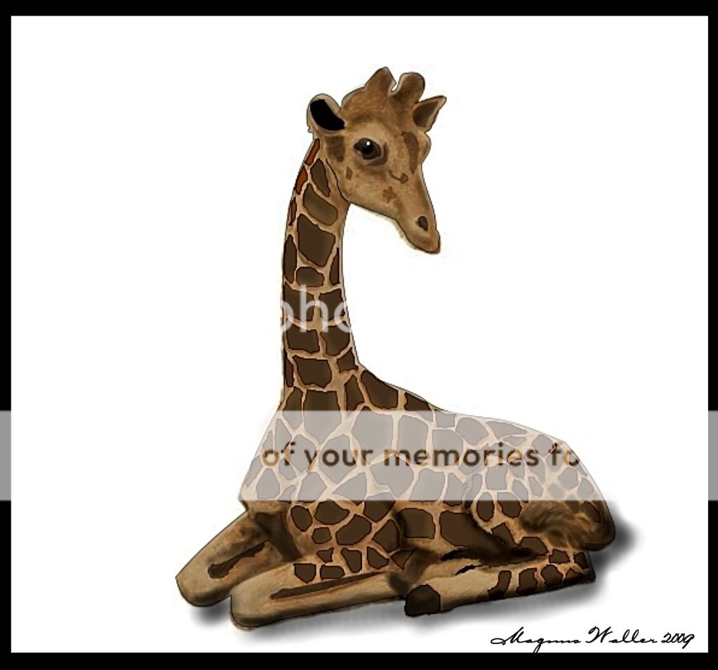 http://i433.photobucket.com/albums/qq53/MagganW/Giraffen.jpg