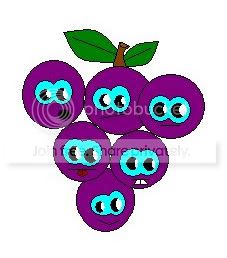 grapes Pictures, Images and Photos