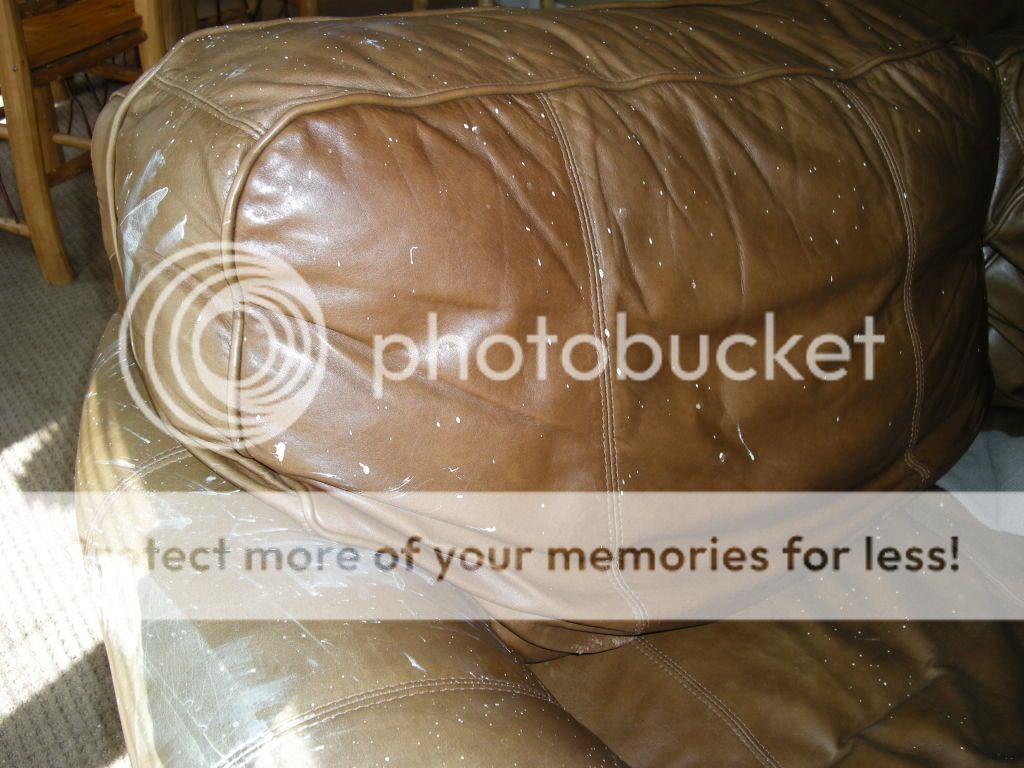 Aniline (Sauvage) Paint How to Remove Paint Splatter from Aniline