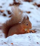 th__MG_0010.jpg