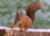 th__MG_0268.jpg