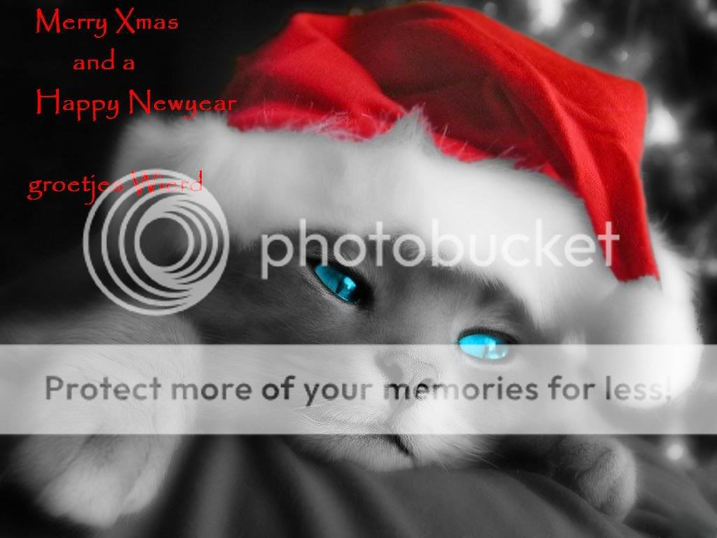 [img width=1024 height=768]http://i433.photobucket.com/albums/qq57/wierdsjee/cat1.jpg[/img]