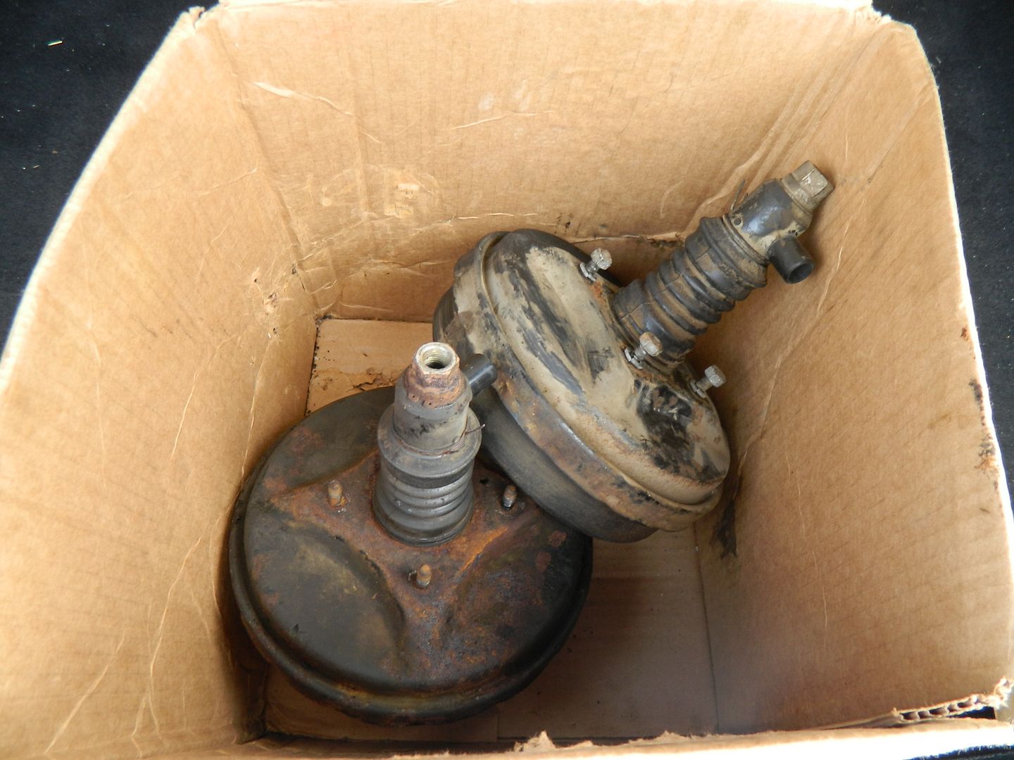 Image may have been reduced in size. Click image to view fullscreen.