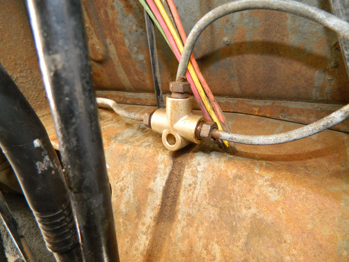 Image may have been reduced in size. Click image to view fullscreen.