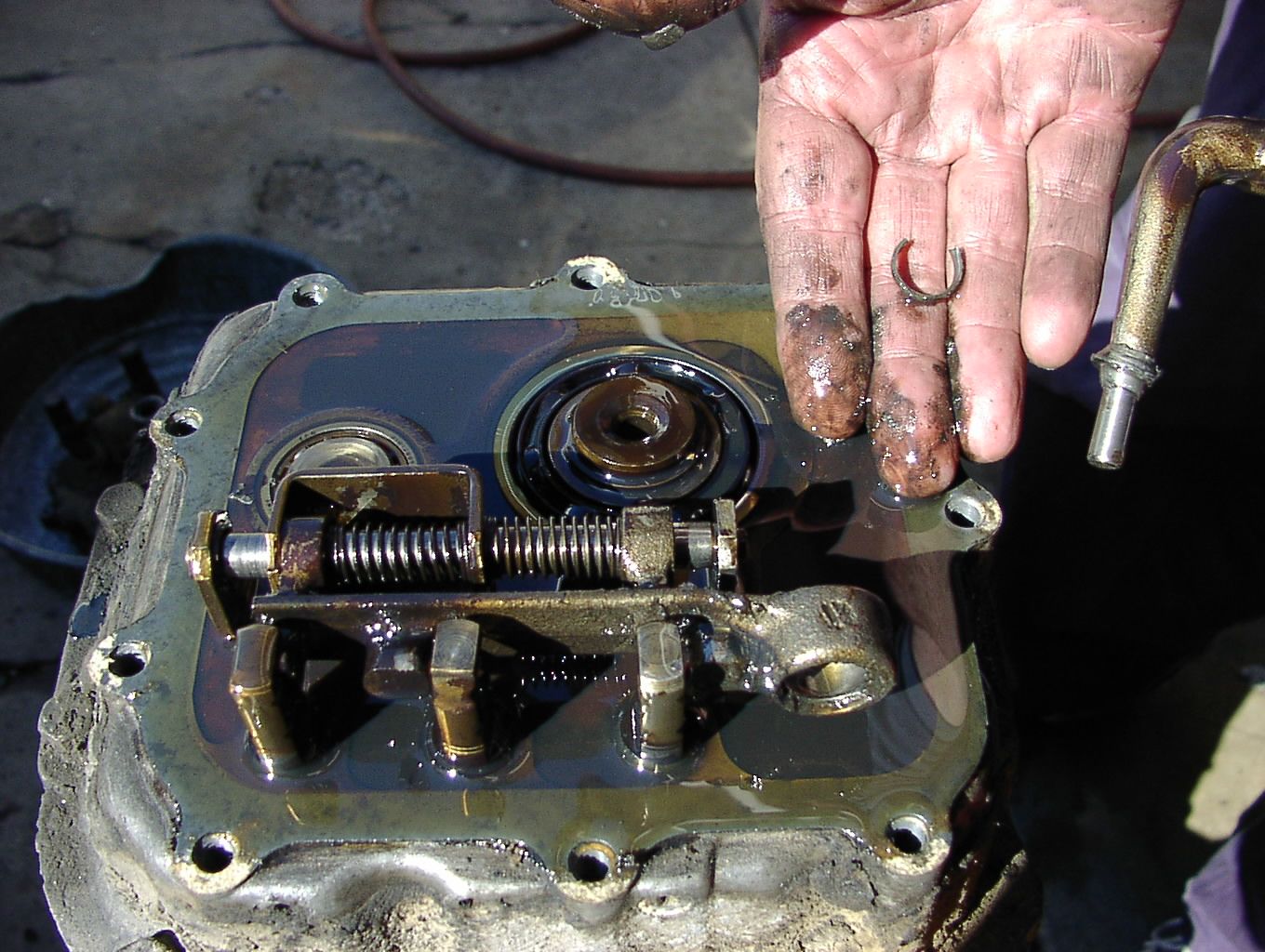 Image may have been reduced in size. Click image to view fullscreen.