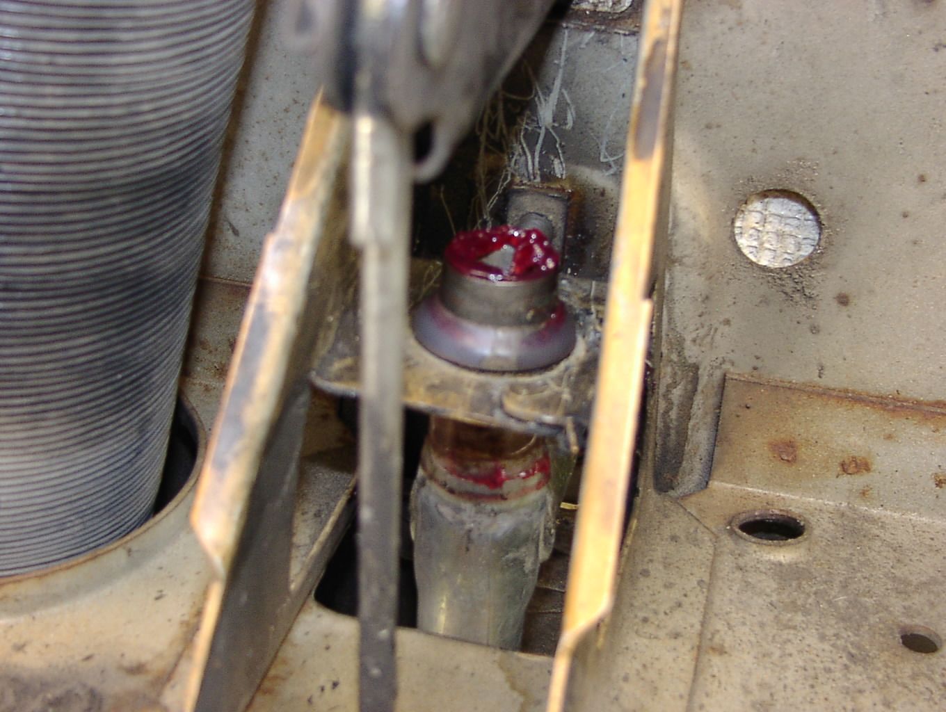 Image may have been reduced in size. Click image to view fullscreen.